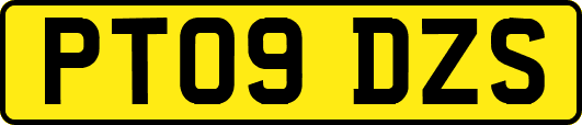 PT09DZS