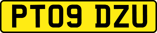 PT09DZU
