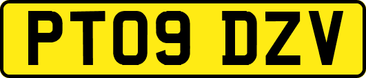 PT09DZV