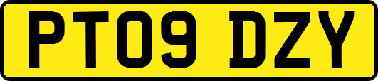 PT09DZY