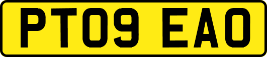 PT09EAO