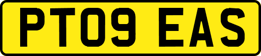 PT09EAS