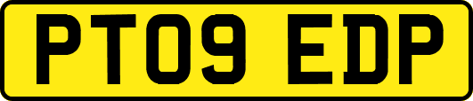 PT09EDP