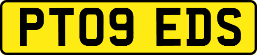 PT09EDS