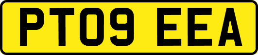 PT09EEA