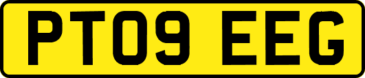 PT09EEG