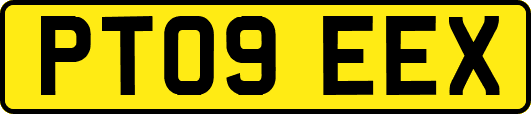 PT09EEX