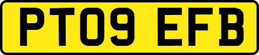PT09EFB