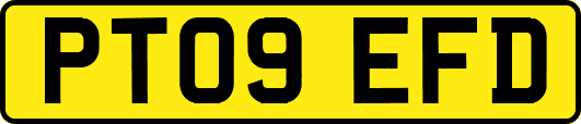PT09EFD