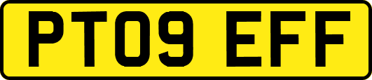 PT09EFF