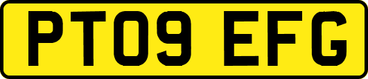 PT09EFG