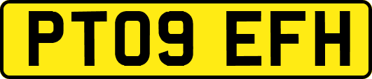 PT09EFH