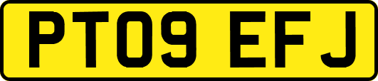 PT09EFJ