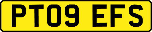PT09EFS
