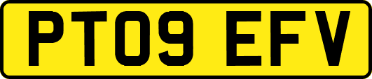 PT09EFV