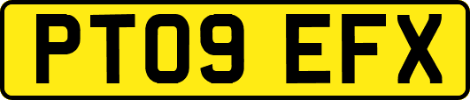 PT09EFX