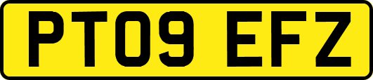 PT09EFZ