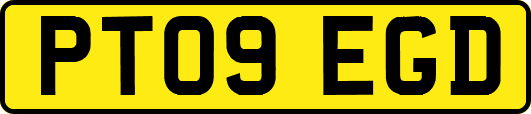 PT09EGD