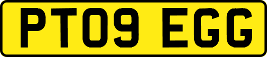 PT09EGG