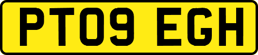 PT09EGH