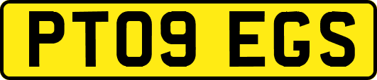 PT09EGS