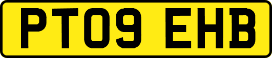 PT09EHB