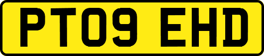PT09EHD