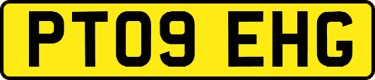 PT09EHG