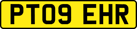PT09EHR