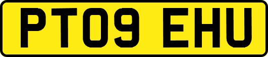 PT09EHU