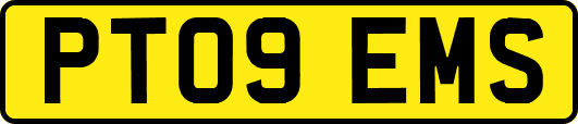 PT09EMS