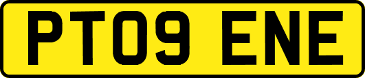 PT09ENE