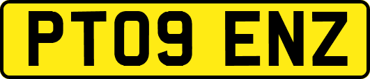 PT09ENZ