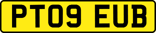 PT09EUB