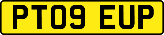 PT09EUP