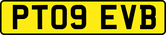 PT09EVB