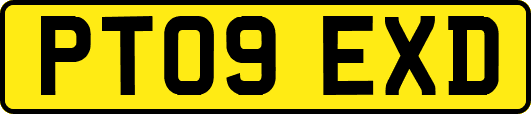 PT09EXD
