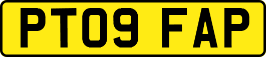 PT09FAP