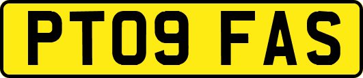 PT09FAS