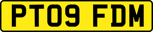 PT09FDM