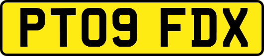 PT09FDX
