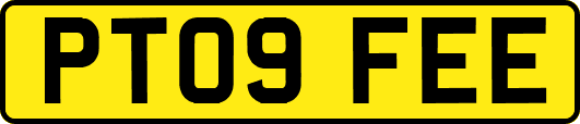 PT09FEE