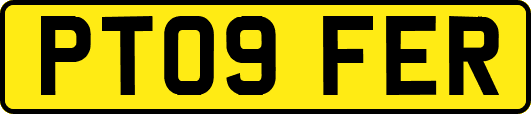 PT09FER
