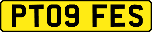 PT09FES
