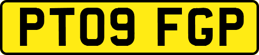 PT09FGP