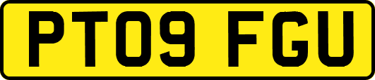 PT09FGU
