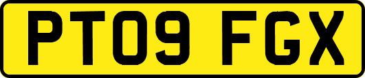 PT09FGX