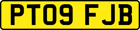PT09FJB