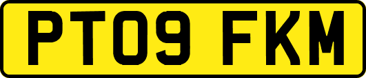 PT09FKM