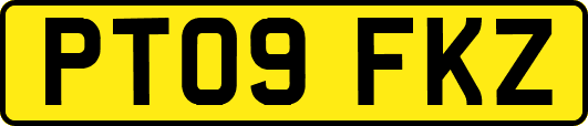 PT09FKZ